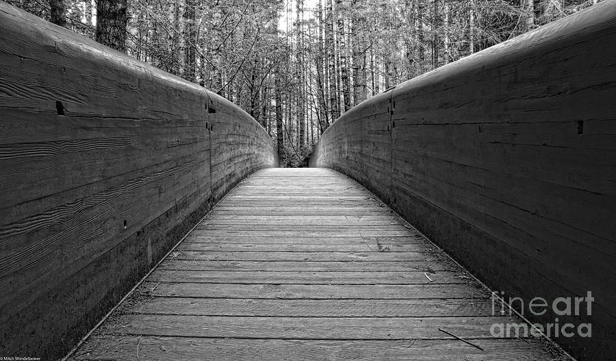 Wooden Bridge Black And White Photograph