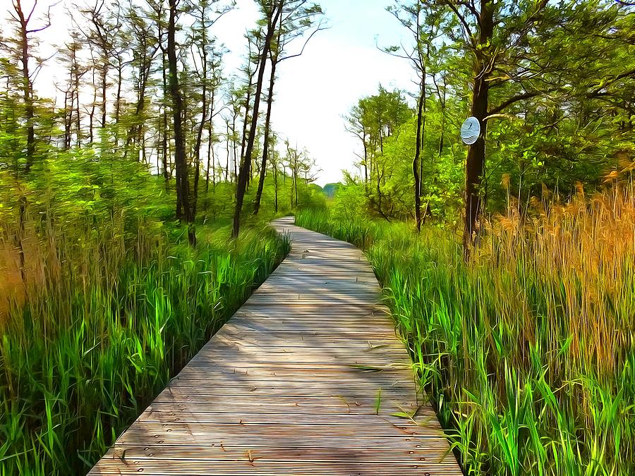 Wooden bridge crossing beautiful nature Digital Art by Ralph Kaehne