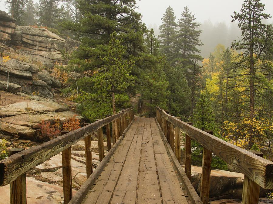 Wooden Bridge Into The Clouds Photograph by James BO Insogna
