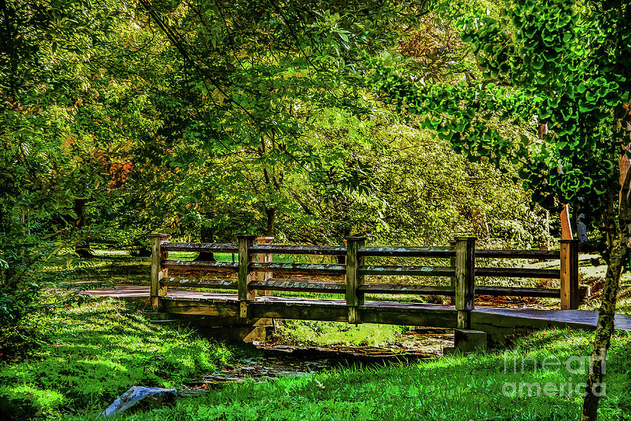 Wooden bridge over rocky stream in woods in early autumn with light and shadow  Digital Art by Susan Vineyard