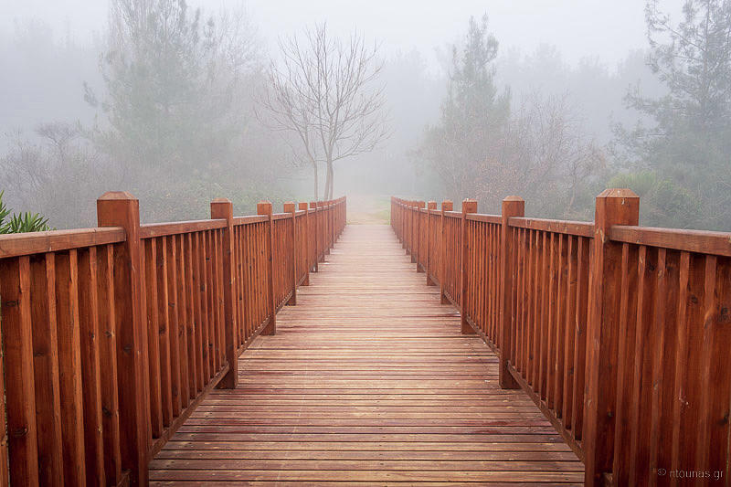 Wooden Bridge Path to a Foggy Forest Photograph by Alexios Ntounas