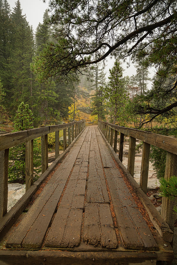 Wooden Bridge Walk About Photograph by James BO Insogna