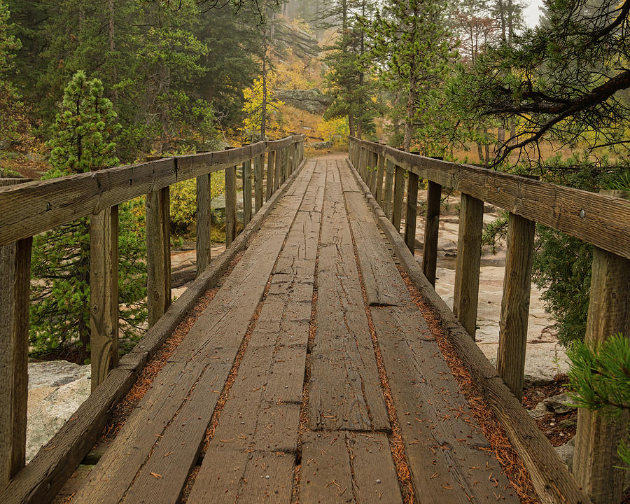 Wooden Bridge Walk Photograph