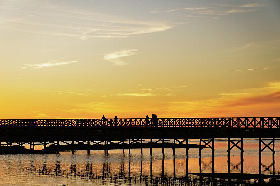 Wooden bridge welcoming twilight Photograph by Angelo DeVal