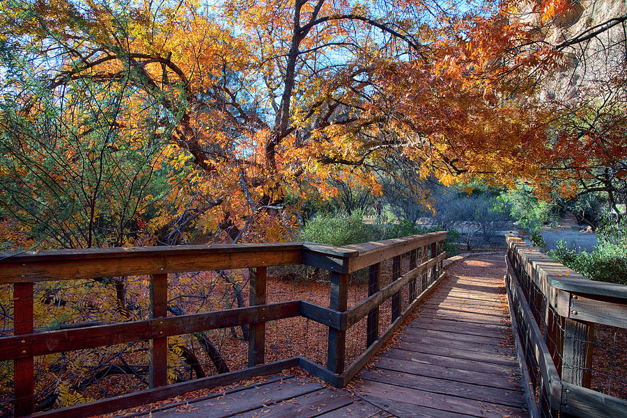 Wooden Bridge with Fall Colors at Boyce Thompson Arboretum Photograph by Dave Dilli