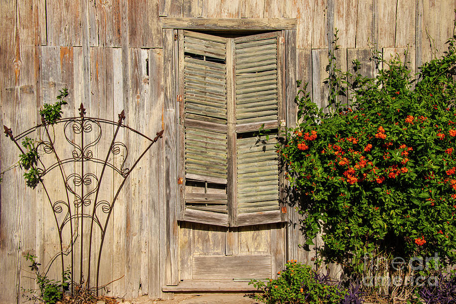 Wooden Door with Shutters Photograph by Bob Phillips