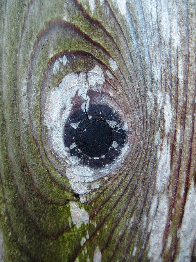 Wooden Eye Photograph by W Craig Photography