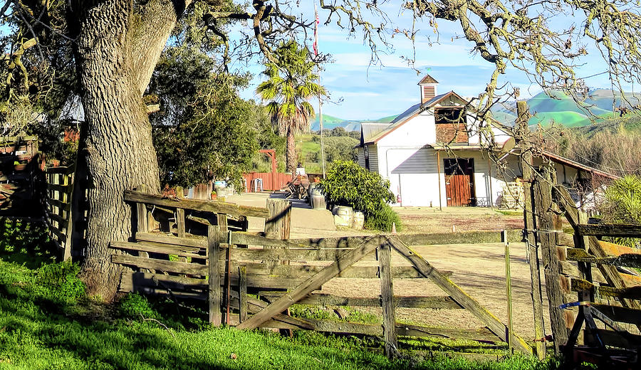 Wooden Fence in Wine Country Photograph by Floyd Snyder