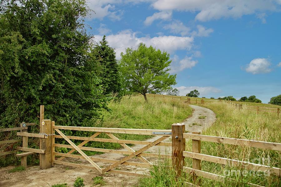 Farm Photograph - Wooden fence on the Cotswold way by Patricia Hofmeester