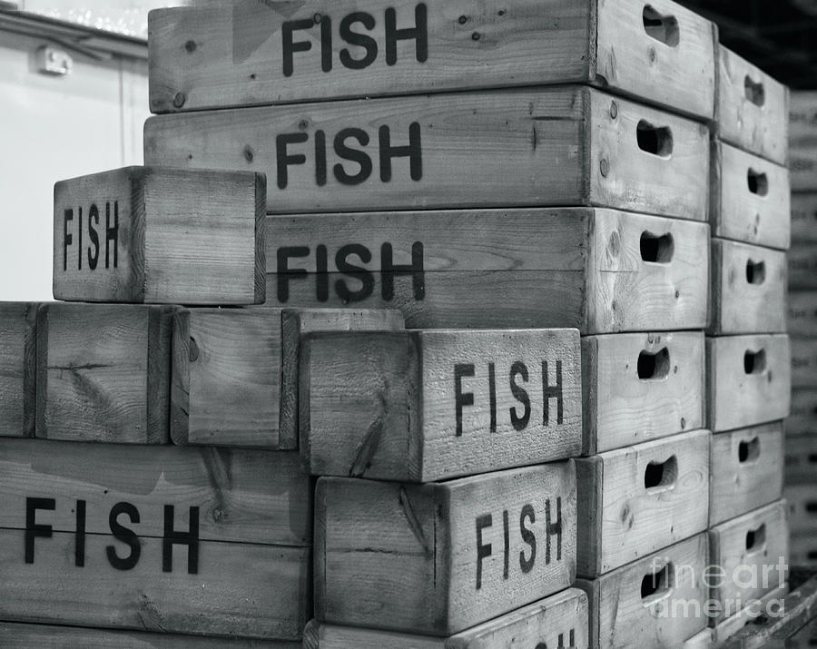 Wooden fish transport boxes in monochrome Photograph by Pics By Tony