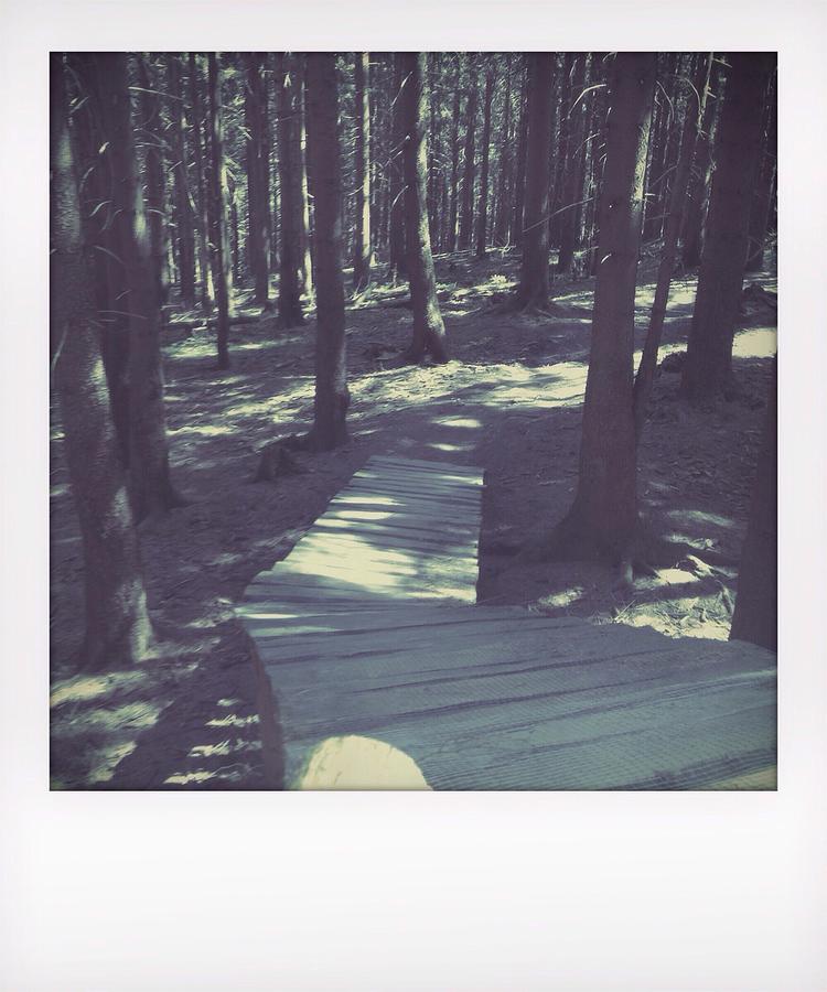 Wooden Footpath In Forest Photograph by Frank Swertz / EyeEm Wooden Footpath In Forest Photograph by Frank Swertz / EyeEm