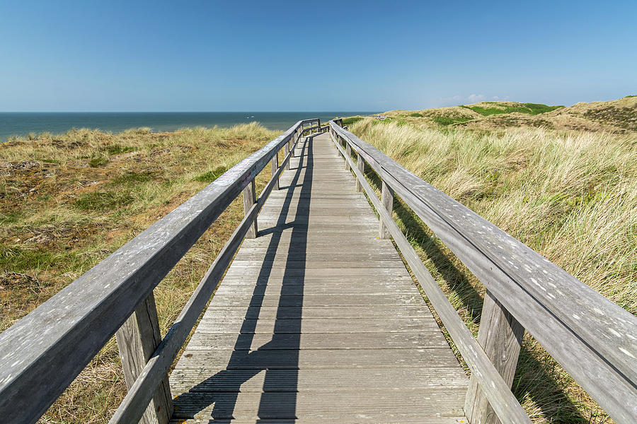 Wooden Footpath Through The Dunes Photograph By Calado Art Pixels