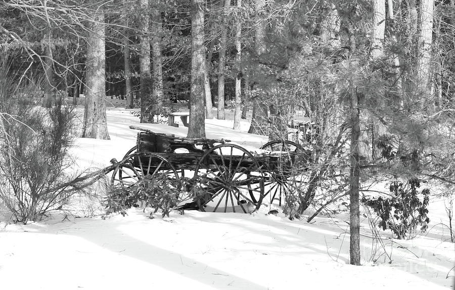 A Rustic and Weathered Wooden Horse Wagon Abandoned in the Snow ...