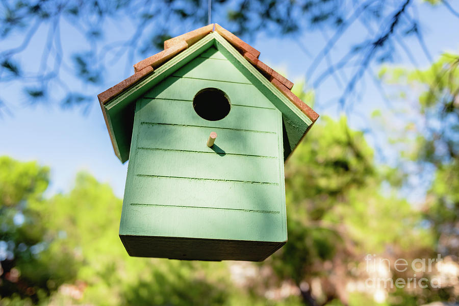 Wooden house for little birds hanging on a tree in a garden. Photograph by Joaquin Corbalan