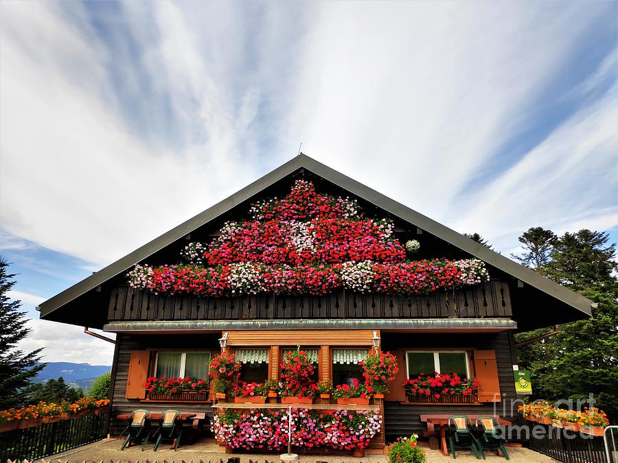Wooden House With Geranium Flowers And Interesting Cloud Formation Spotted In Sondernach Near Schnepfenried Photograph