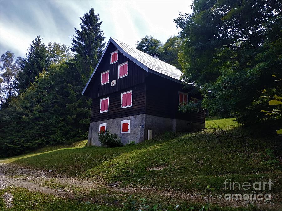Wooden Hut With Red Window Blinds Near Le Markstein Mountain Photograph