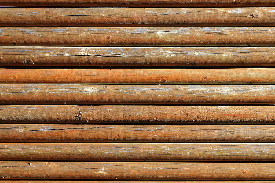 Wooden Logs Fence Photograph by Pejft