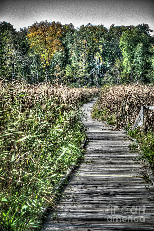Wooden Path Photograph by Deborah Klubertanz