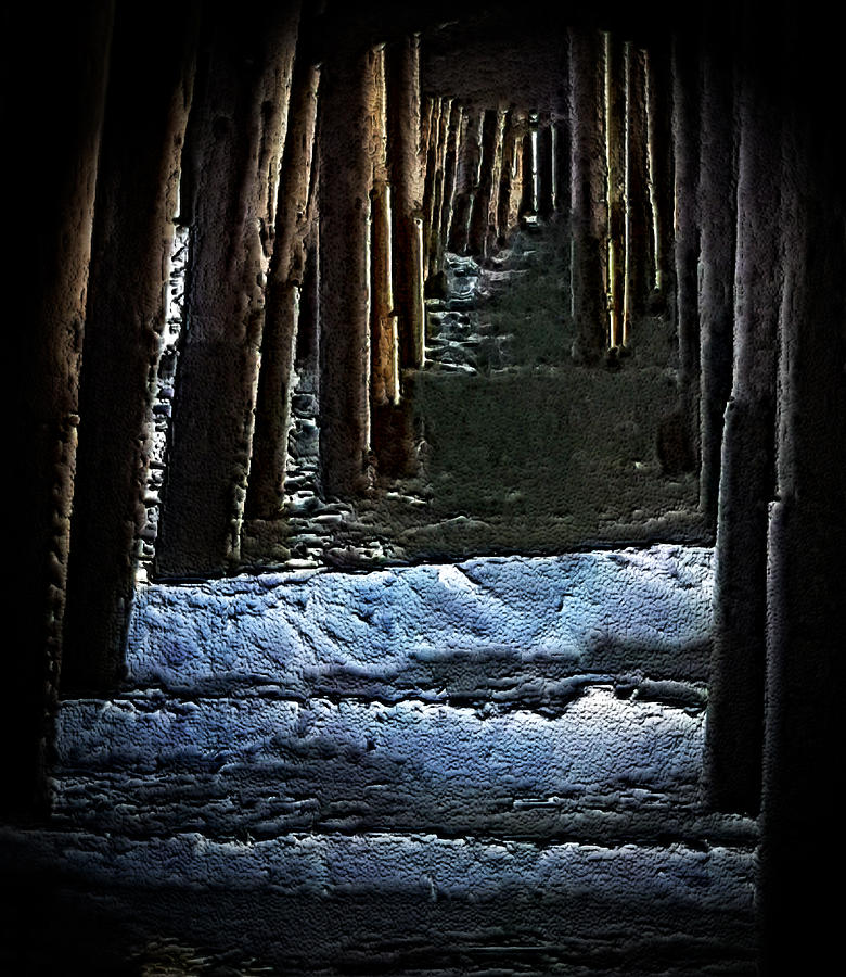 Wooden Path by Maria Reverberi Wooden Path by Maria Reverberi