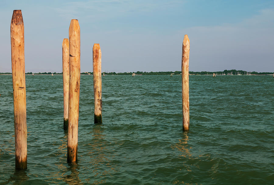 Pier Photograph - Wooden Poles by Razvan Radu
