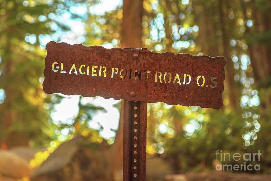 wooden road sign of Glacier Point Photograph by Benny Marty