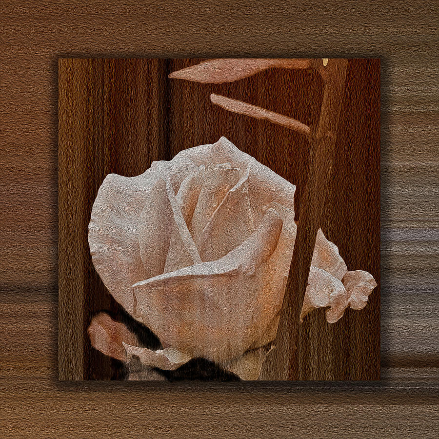 Wooden Rose Mixed Media by Anthony M Davis