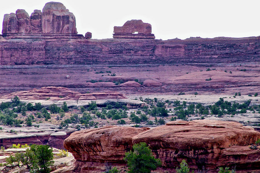 Wooden Shoe Arch, Needles District, CanyonlandsNational Park, Utah Photograph by Ruth Hager