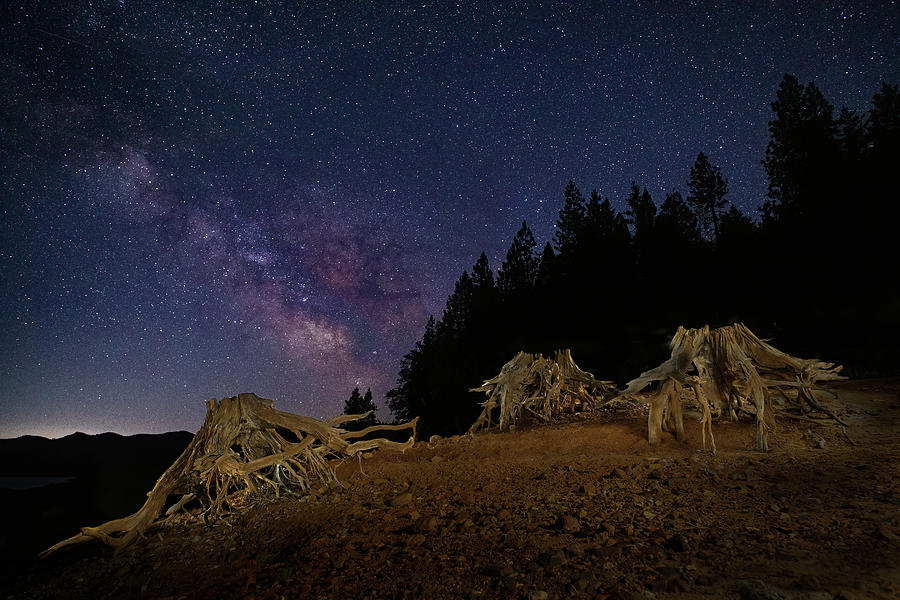Wooden Spiders Under the Stars Photograph by Mike Lee