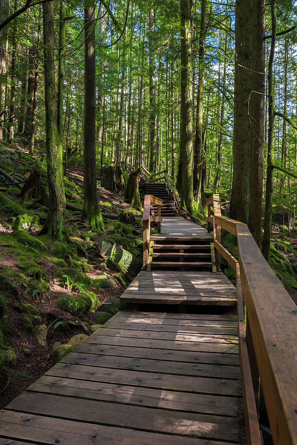 Wooden Staircase  on a Hiking Trail Photograph by Alex Lyubar