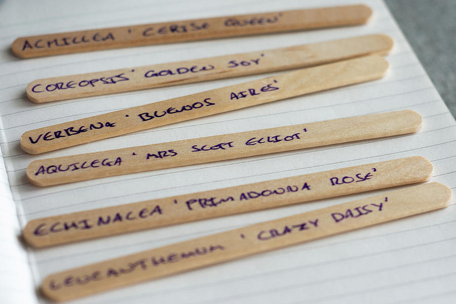 Wooden Sticks with Flower Names Photograph by Scott Lyons
