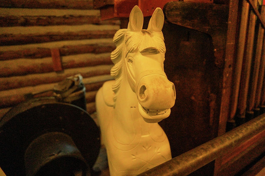Wooden Toy Horse Photograph