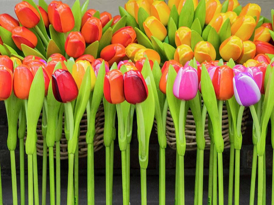 Wooden Tulips Photograph by Eggers Photography