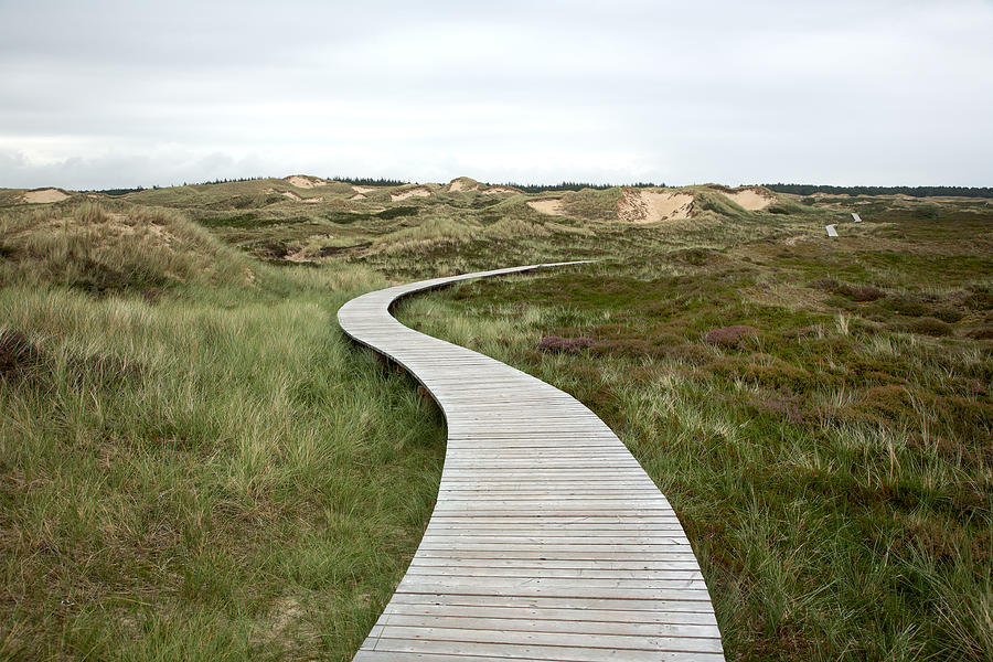 Wooden Walking Path Photograph by Visual7