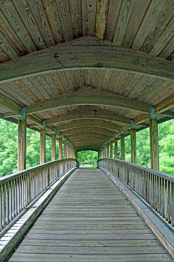 Wooden Walkway Photograph