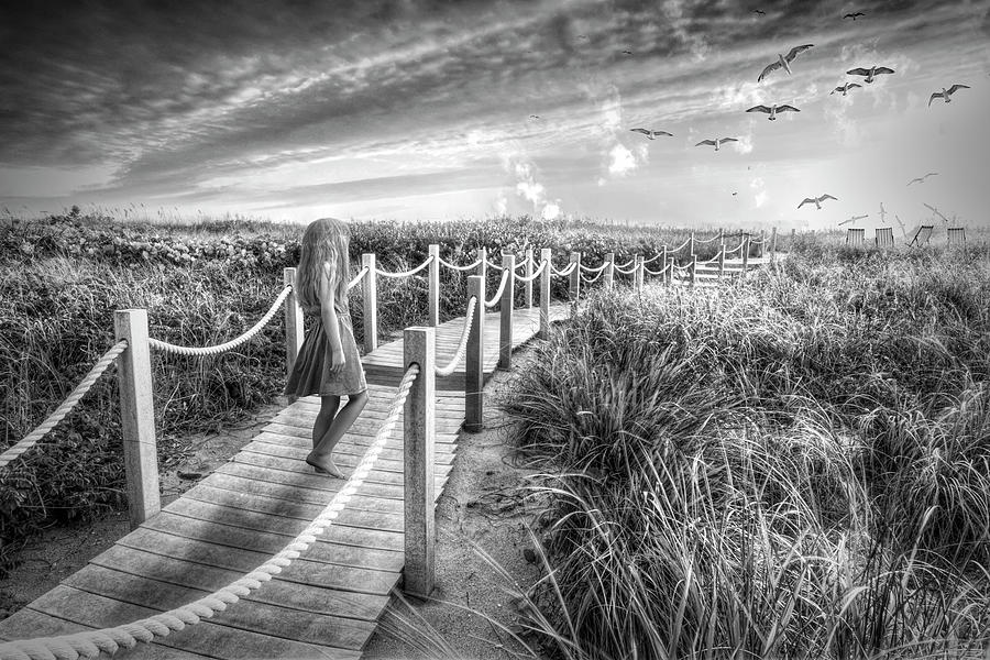 Wooden Walkway through the Dunes Black and White Photograph by Debra and Dave Vanderlaan