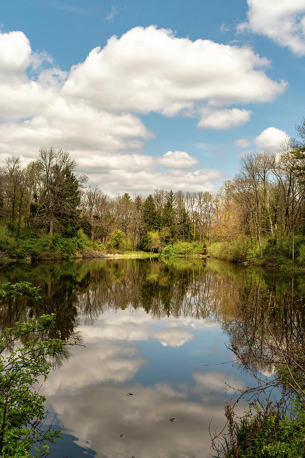 Woodfield Reservation in Princeton Pond View Photograph by Steven Richman
