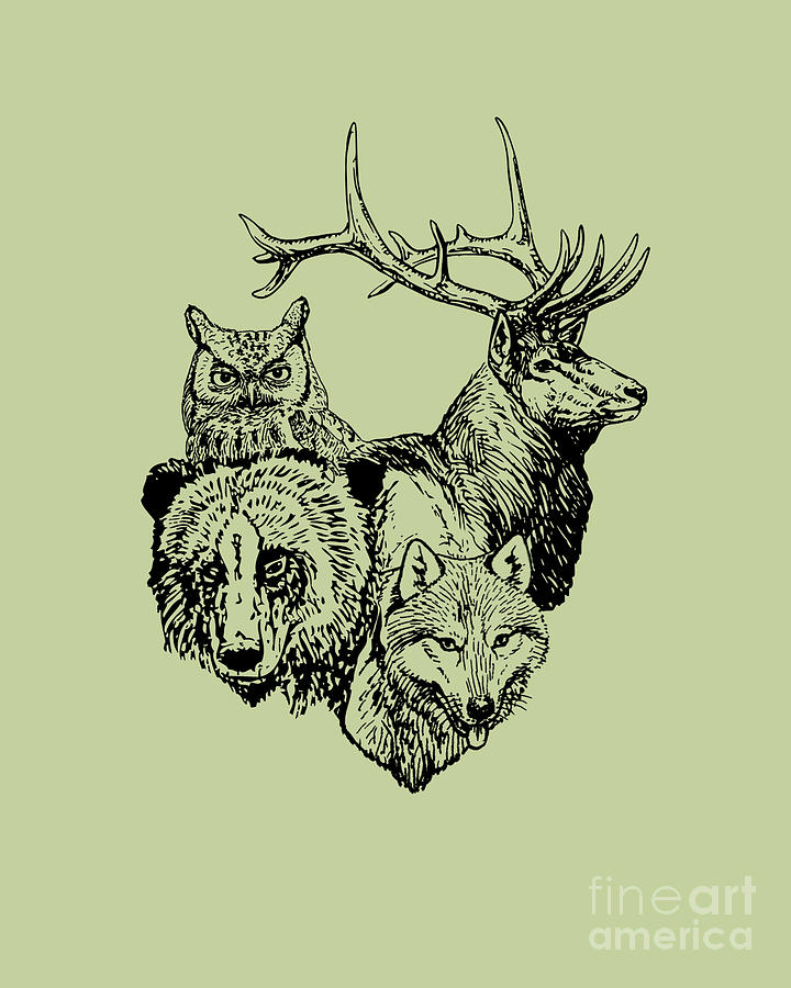 Woodland Animal Collection Digital Art by Madame Memento