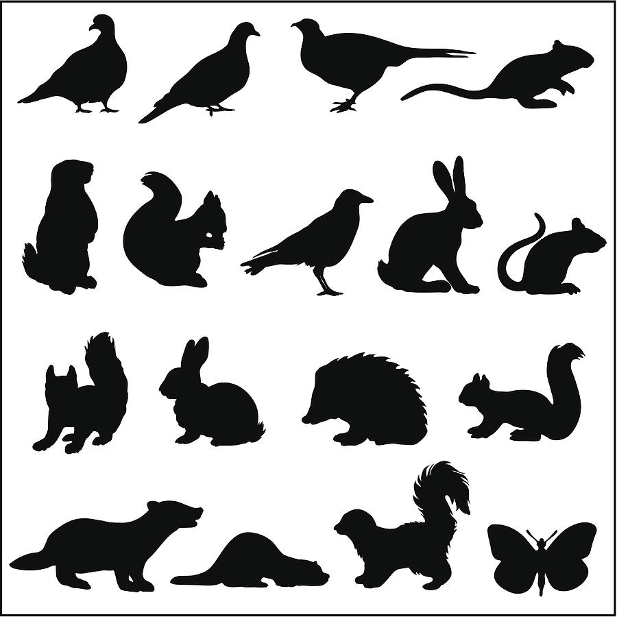 Woodland animals in silhouette Drawing by Ace_Create