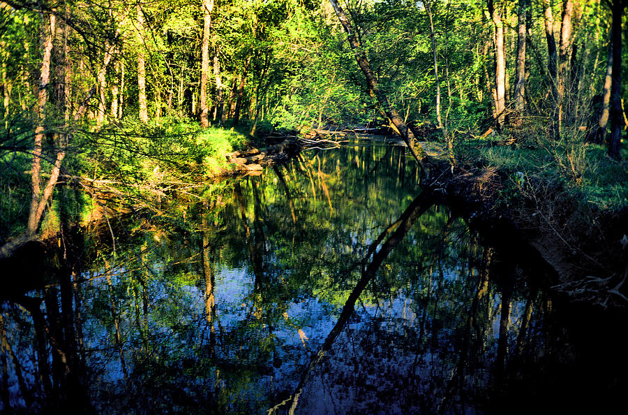 Woodland Calm No.18 - Accotink Stream Reflections Photograph by Steve Ember