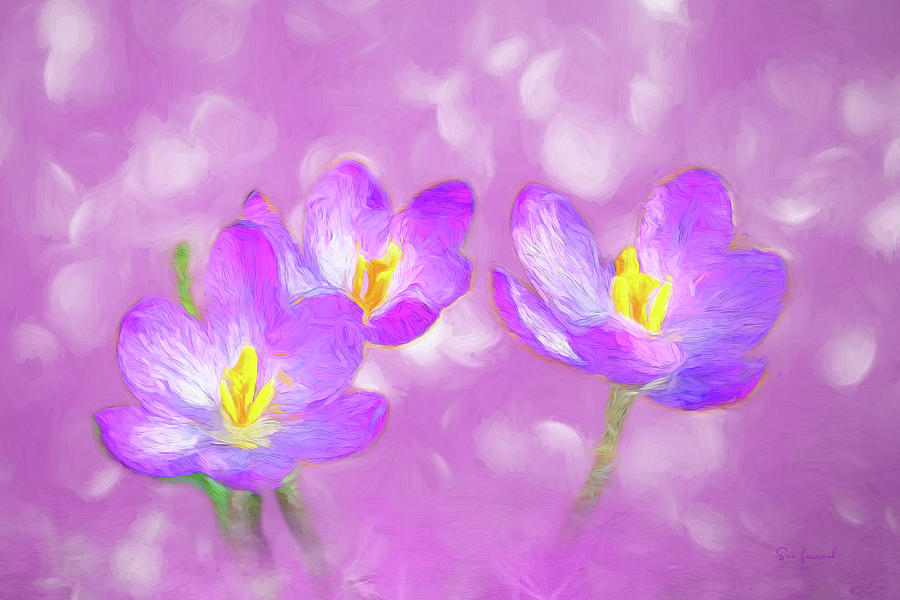 Woodland Crocus with a painterly look Photograph by Sue Leonard