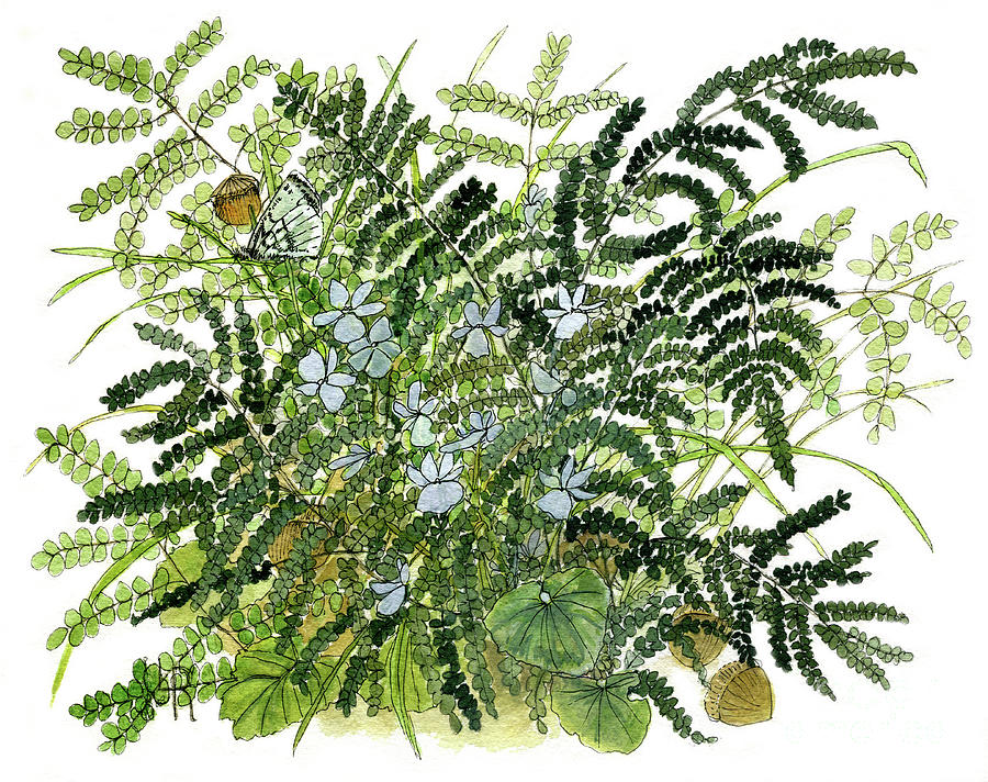 Woodland Ferns with Butterfly and Violets Painting by Laurie Rohner