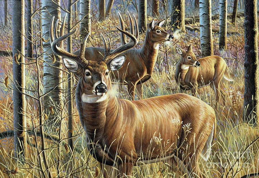 Woodland Guardian  Painting by Cynthie Fisher