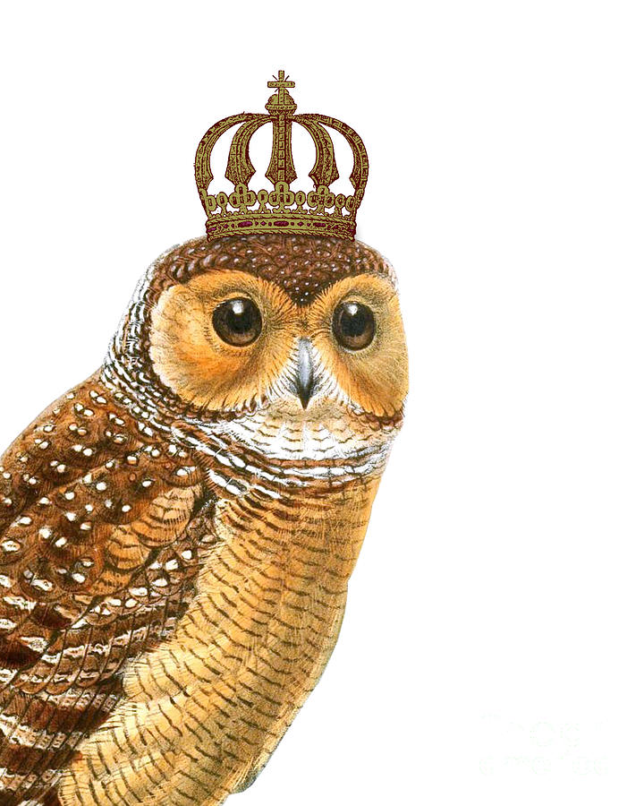 Owl Digital Art - Woodland King by Madame Memento