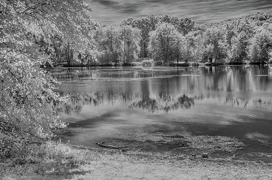Woodland Lake in infrared black and white Photograph by Alan Goldberg