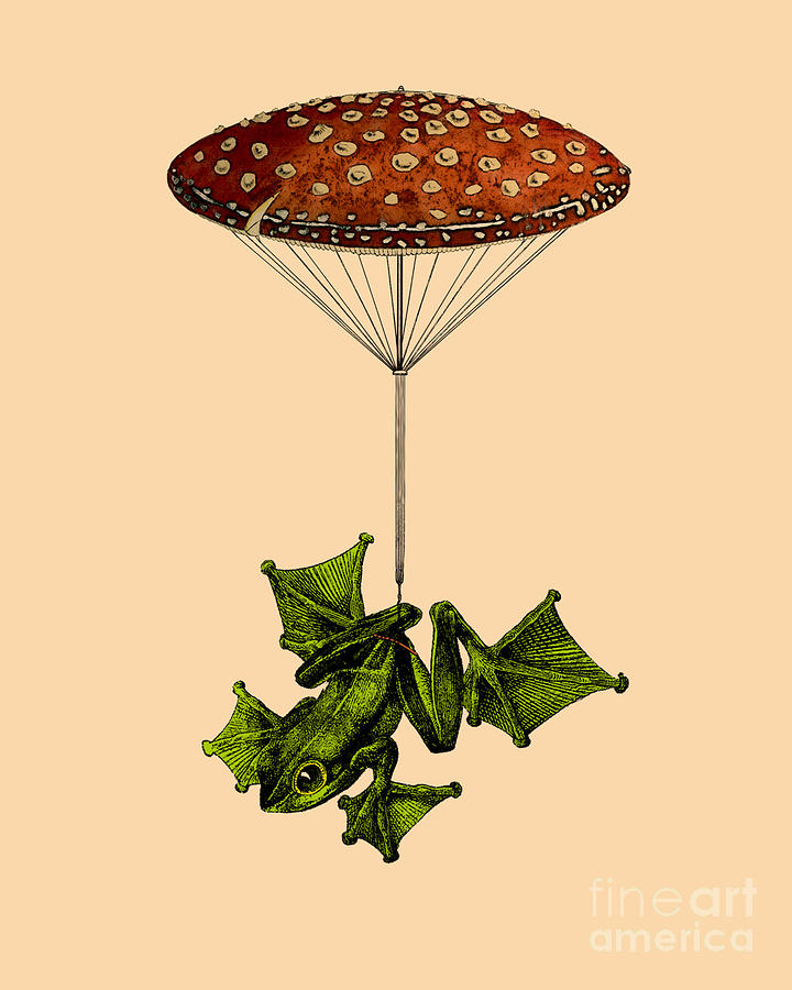 Frog Digital Art - Woodland Parachute by Madame Memento