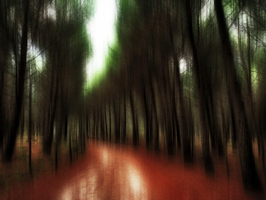 Autumn path 2 Photograph by Al Fio Bonina