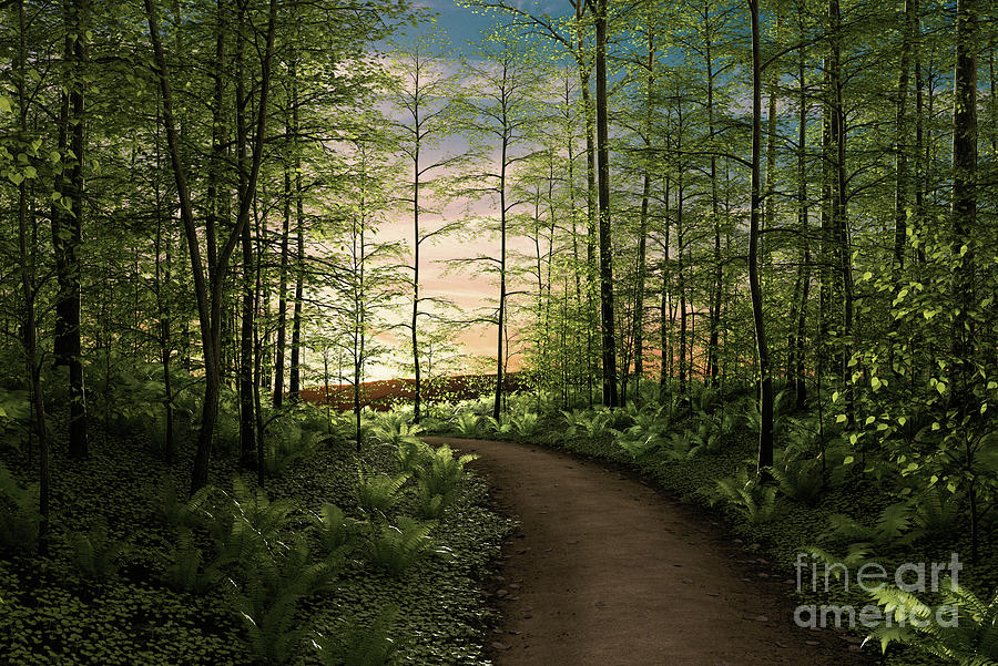 Woodland Path Digital Art by Clayton Bastiani