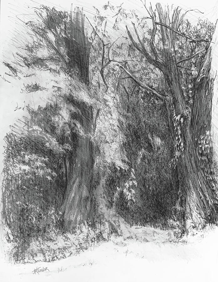 Woodland Path Drawing by Joel Keener Woodland Path Drawing by Joel Keener
