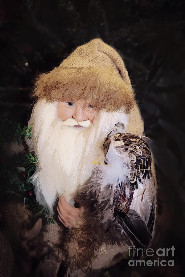 Woodland santa with Owl  Digital Art by Susan Vineyard