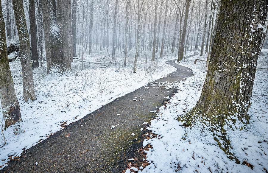 Cold Winter Path Photograph by Jordan Hill